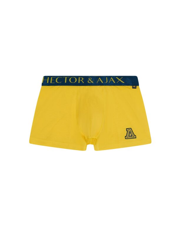 TRUNK CAPSULE COLLECTION - DELTA SUNGLOW, M